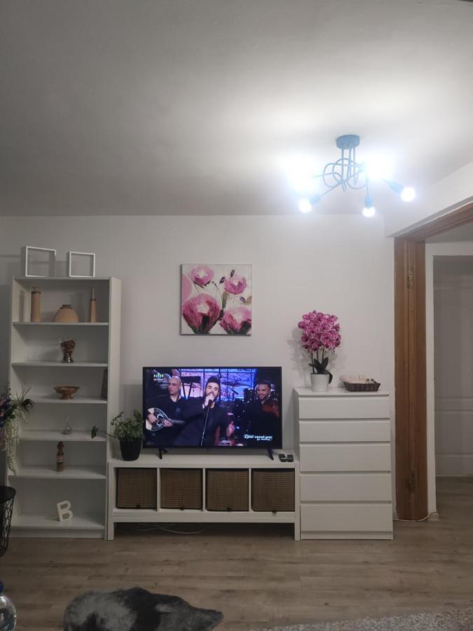 Victoria Residence Bucarest Extérieur photo